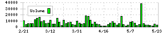 ＣＤＳ(2169)の出来高