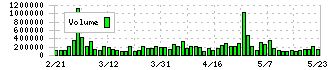 ラクーンホールディングス(3031)の出来高