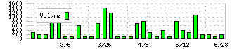 日本テクノ・ラボ(3849)の出来高