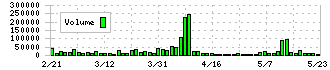 ランドコンピュータ(3924)の出来高