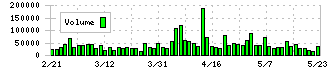 サーバーワークス(4434)の出来高