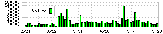 菱友システムズ(4685)の出来高