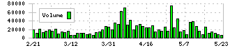 パラカ(4809)の出来高