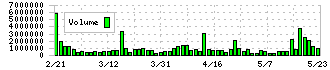 ティムス(4891)の出来高