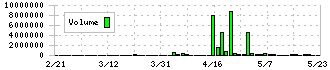 昭和ホールディングス(5103)の出来高