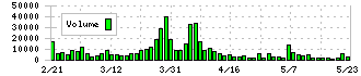 リソルホールディングス(5261)の出来高