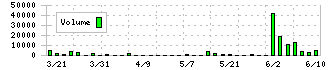 日本システムバンク(5530)の出来高