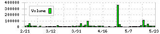 エキサイトホールディングス(5571)の出来高