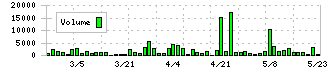 エヌアイシ・オートテック(5742)の出来高