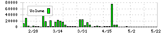 オーネックス(5987)の出来高