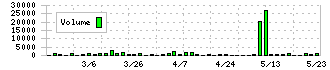 ニッキ(6042)の出来高