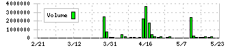 太洋テクノレックス(6663)の出来高