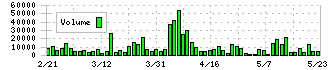 リバーエレテック(6666)の出来高