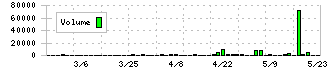 パルステック工業(6894)の出来高