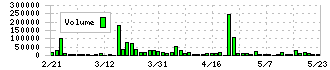 アクセスグループ・ホールディングス(7042)の出来高