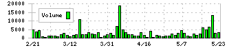 ＤＮホールディングス(7377)の出来高