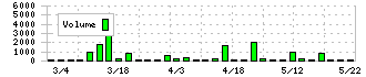 セントラルフォレストグループ(7675)の出来高