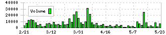 竹田ｉＰホールディングス(7875)の出来高
