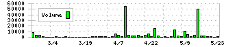 ブリッジコンサルティンググループ(9225)の出来高