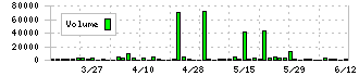 トレーディア(9365)の出来高