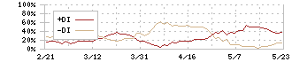 有沢製作所(5208)のDMI