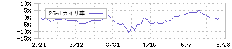 ビックカメラ(3048)の乖離率(25日)