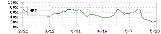 イチカワ(3513)のMFI