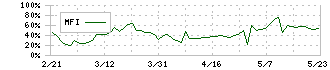 ランドコンピュータ(3924)のMFI