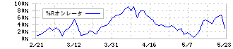 デジタルガレージ(4819)の%Rオシレータ