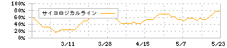 スーパーバッグ(3945)のサイコロジカルライン