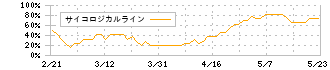 ヤマウホールディングス(5284)のサイコロジカルライン