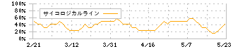 ＣＳＰ(9740)のサイコロジカルライン